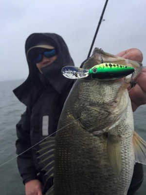 hideup 豌ｸ驥守ｷ丈ｸ譛� 繝悶Ο繧ｰ蜀咏悄 2016/03/10