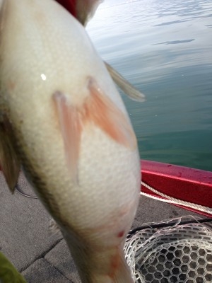 hideup 永野総一朗 ブログ写真 2013/03/13