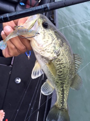 hideup 永野総一朗 ブログ写真 2016/05/09