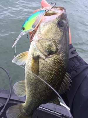 hideup 豌ｸ驥守ｷ丈ｸ譛� 繝悶Ο繧ｰ蜀咏悄 2016/09/25