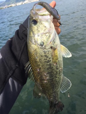 hideup 永野総一朗 ブログ写真 2017/05/04