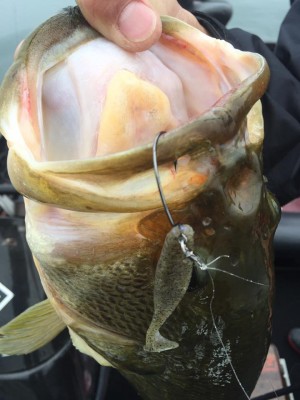 hideup 永野総一朗 ブログ写真 2017/04/08