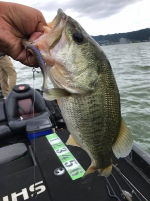 hideup 永野総一朗 ブログ写真 2017/08/05