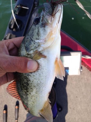 hideup 永野総一朗 ブログ写真 2015/04/08