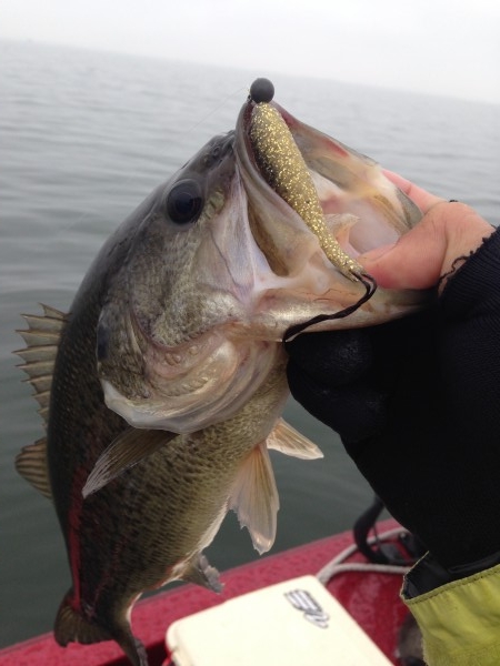 hideup 永野総一朗 ブログ写真 2014/03/05