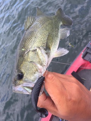 hideup 永野総一朗 ブログ写真 2015/09/03