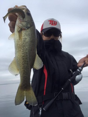 hideup 永野総一朗 ブログ写真 2015/11/09