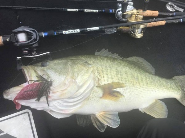 hideup 永野総一朗 ブログ写真 2017/06/22