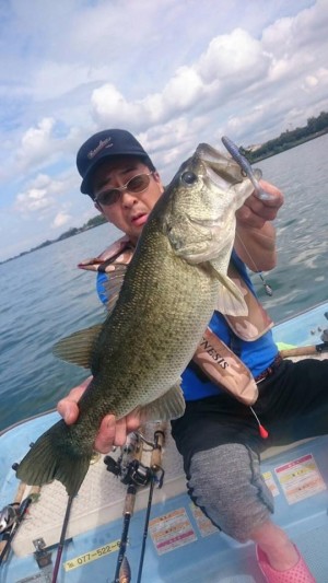 hideup 豌ｸ驥守ｷ丈ｸ譛� 繝悶Ο繧ｰ蜀咏悄 2017/10/09