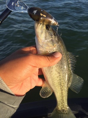 hideup 永野総一朗 ブログ写真 2016/11/16