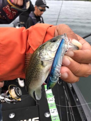 hideup 永野総一朗 ブログ写真 2017/10/14