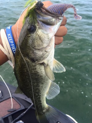 hideup 永野総一朗 ブログ写真 2016/08/17