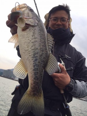 hideup 永野総一朗 ブログ写真 2017/03/06