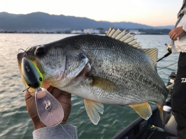 hideup 永野総一朗 ブログ写真 2017/10/27