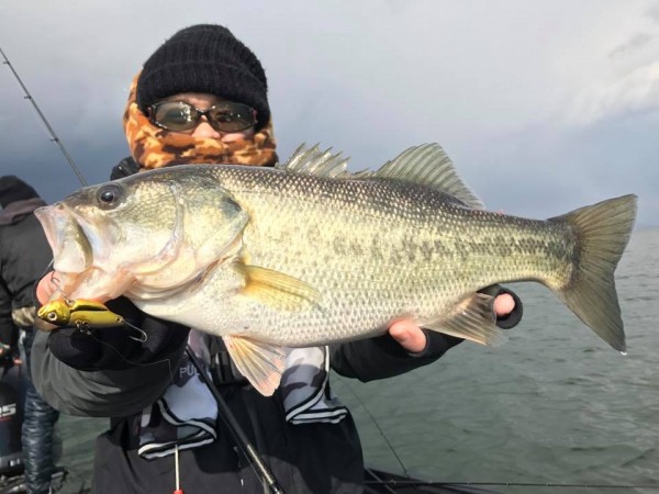 hideup 永野総一朗 ブログ写真 2017/12/12