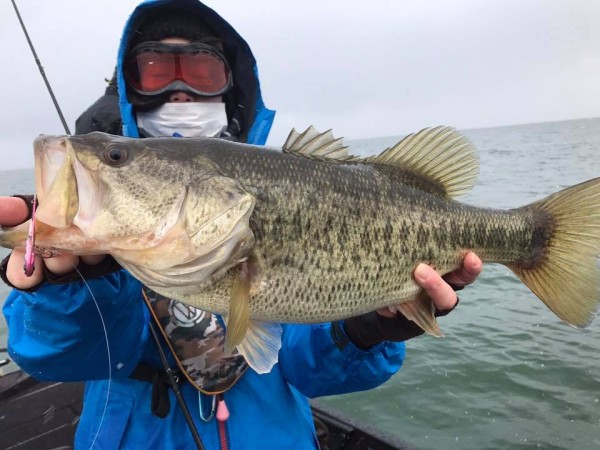 hideup 永野総一朗 ブログ写真 2017/01/23