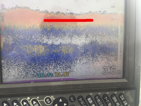 hideup 永野総一朗 ブログ写真 2017/05/16