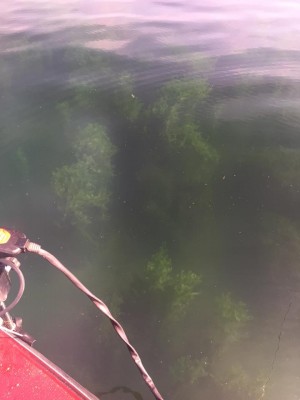 hideup 永野総一朗 ブログ写真 2015/12/27