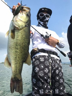 hideup 豌ｸ驥守ｷ丈ｸ譛� 繝悶Ο繧ｰ蜀咏悄 2017/08/17