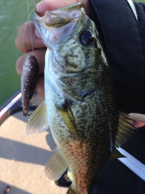 hideup 豌ｸ驥守ｷ丈ｸ譛� 繝悶Ο繧ｰ蜀咏悄 2014/10/09