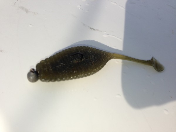 hideup 永野総一朗 ブログ写真 2013/02/04