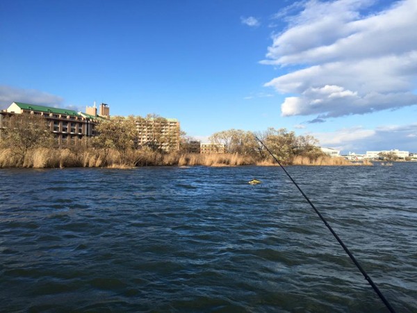 hideup 永野総一朗 ブログ写真 2015/12/17