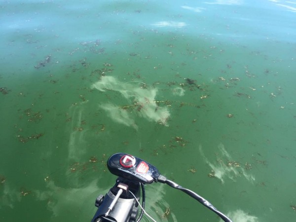 hideup 永野総一朗 ブログ写真 2016/08/22