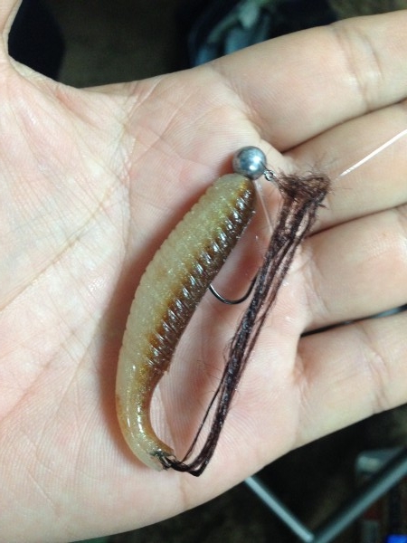 hideup 永野総一朗 ブログ写真 2014/04/13