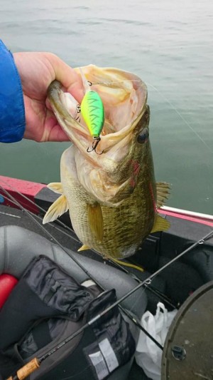 hideup 豌ｸ驥守ｷ丈ｸ譛� 繝悶Ο繧ｰ蜀咏悄 2017/04/26