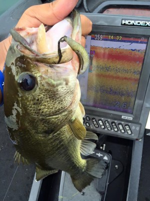 hideup 永野総一朗 ブログ写真 2016/06/22