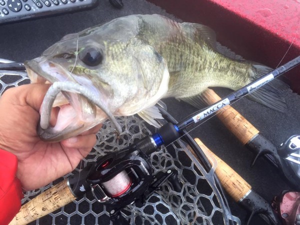 hideup 永野総一朗 ブログ写真 2015/12/12