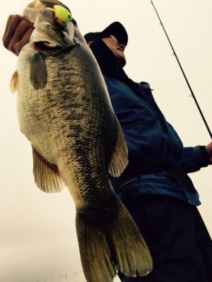 hideup 永野総一朗 ブログ写真 2015/04/06