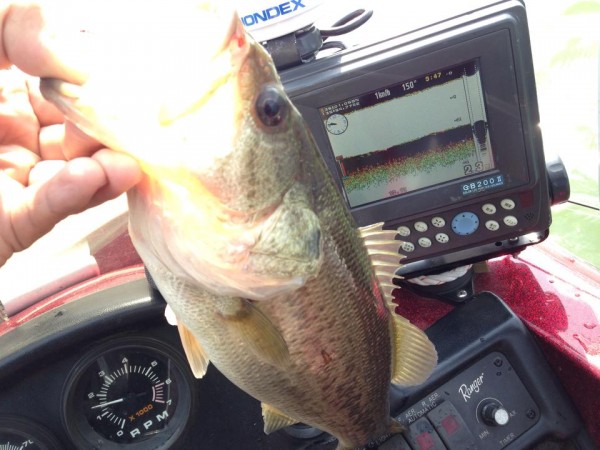 hideup 永野総一朗 ブログ写真 2014/04/02