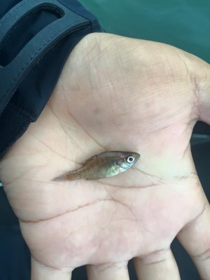 hideup 永野総一朗 ブログ写真 2016/05/11