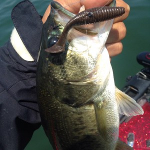 hideup 永野総一朗 ブログ写真 2015/04/23