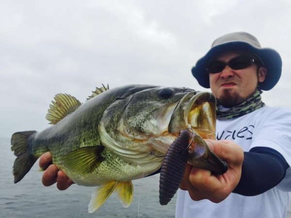 hideup 永野総一朗 ブログ写真 2015/07/11