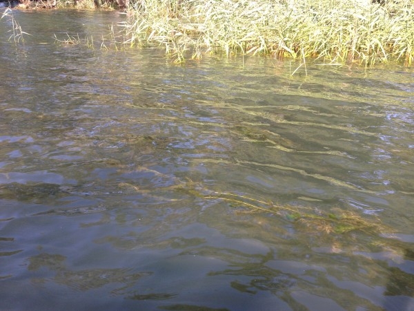 hideup 永野総一朗 ブログ写真 2013/09/25