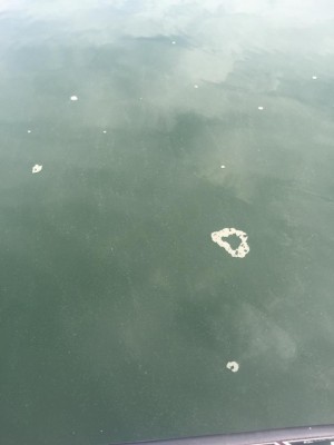 hideup 永野総一朗 ブログ写真 2015/10/16