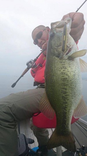 hideup 豌ｸ驥守ｷ丈ｸ譛� 繝悶Ο繧ｰ蜀咏悄 2016/06/20