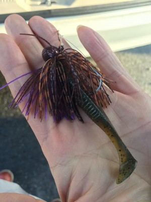 hideup 永野総一朗 ブログ写真 2017/04/19