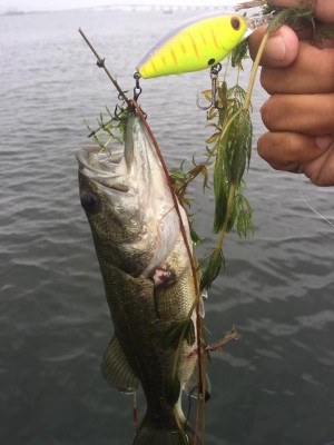 hideup 永野総一朗 ブログ写真 2016/09/21