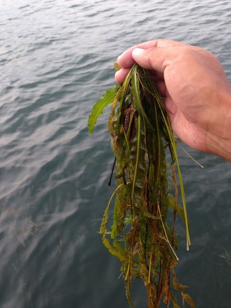 hideup 永野総一朗 ブログ写真 2014/07/03