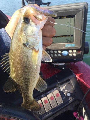 hideup 永野総一朗 ブログ写真 2015/10/23