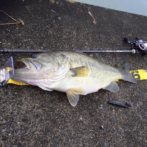 hideup 豌ｸ驥守ｷ丈ｸ譛� 繝悶Ο繧ｰ蜀咏悄 2016/04/08