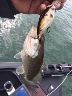 hideup 永野総一朗 ブログ写真 2016/11/21