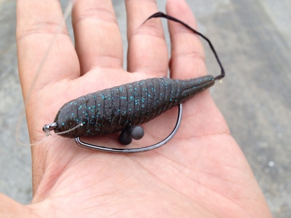 hideup 永野総一朗 ブログ写真 2014/06/11