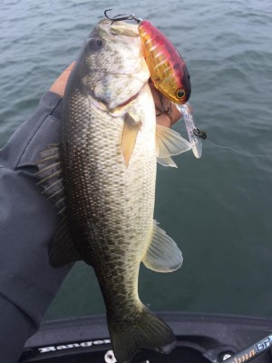 hideup 永野総一朗 ブログ写真 2016/11/21