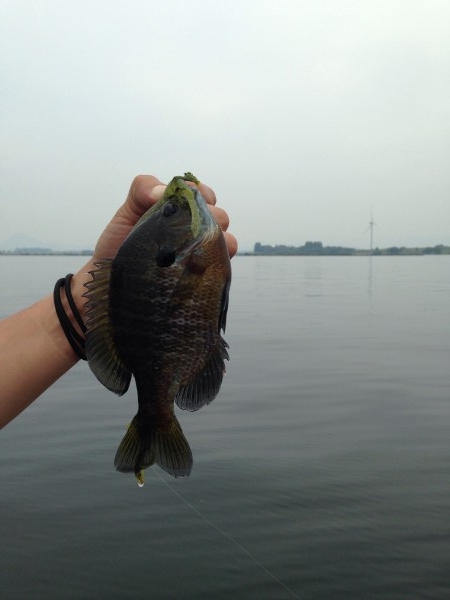 hideup 永野総一朗 ブログ写真 2014/06/18