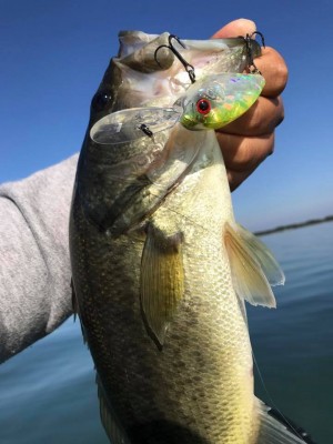 hideup 永野総一朗 ブログ写真 2017/11/10