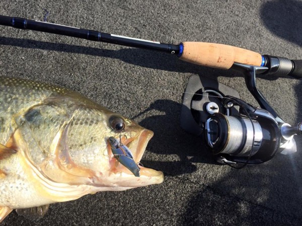 hideup 永野総一朗 ブログ写真 2015/12/26
